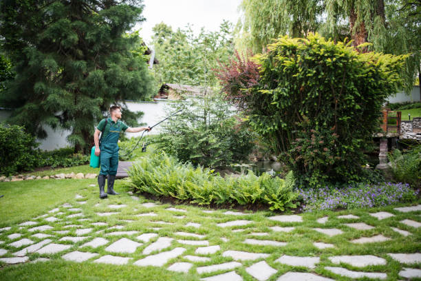 Trusted Chelsea Cove, NY Pest Control Experts