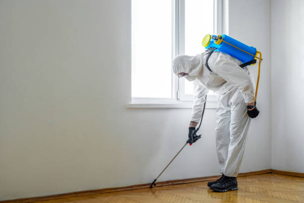 Best Commercial Pest Control Services  in Chelsea Cove, NY
