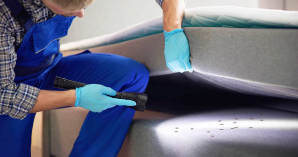 Pest Prevention Services in Chelsea Cove, NY