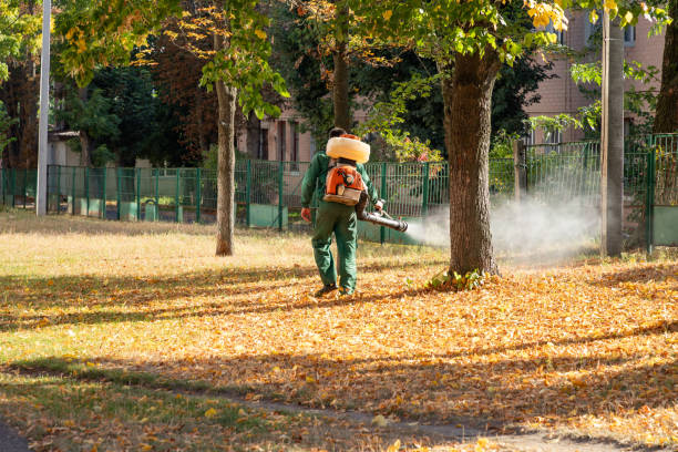 Best Wasp Removal Services  in Chelsea Cove, NY
